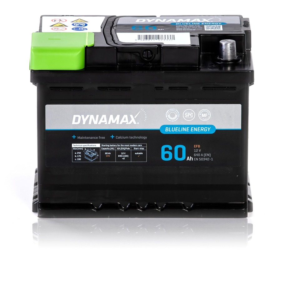 635213_Dynamax Blueline 60 EFB_b