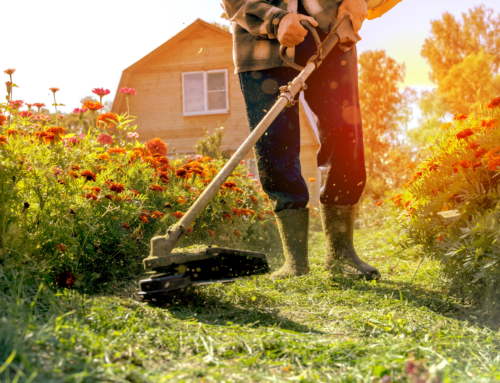Zo života záhradkára: Viete, čo potrebuje vaša záhradná technika?
